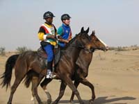 /international/2006Walvisbay/images/Loop2/thumbnails/loop2 025.jpg